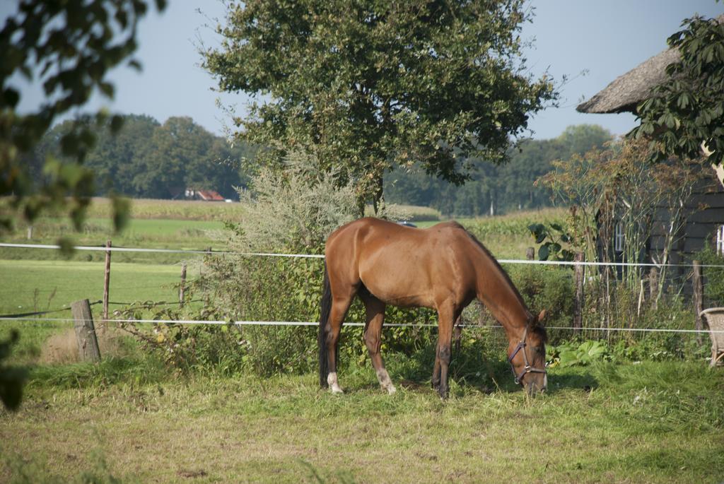 De Bolderie Bed & Breakfast Markelo